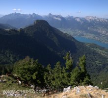 Randonnée et chèvres, Lanfonnet, lac d'Annecy