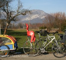 Bikes with child seats