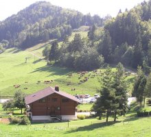 Close to nature, walking near Col de La Forclaz